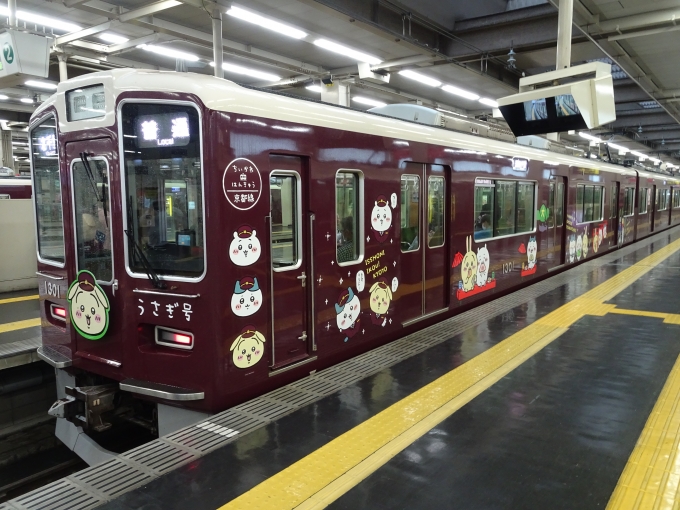 鉄道乗車記録の写真:列車・車両の様子(未乗車)(14)        「京都線の｢うさぎ号｣です。」