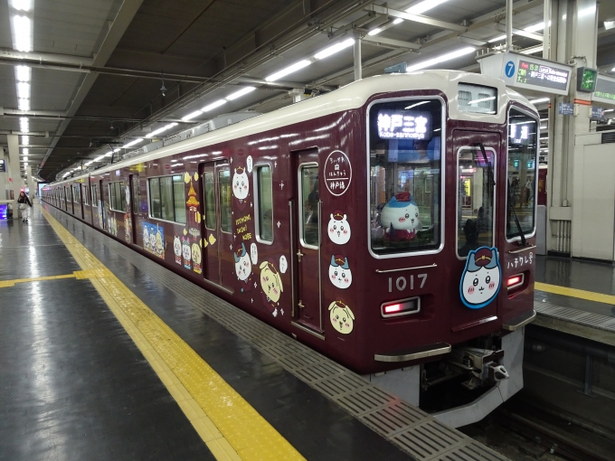 鉄道乗車記録の写真:列車・車両の様子(未乗車)(16)        「神戸線の｢ハチワレ号｣です。」