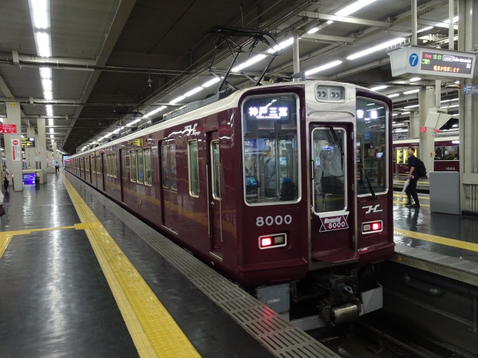 鉄道乗車記録の写真:列車・車両の様子(未乗車)(17)        「神戸線の｢Memorial 8000｣です。」