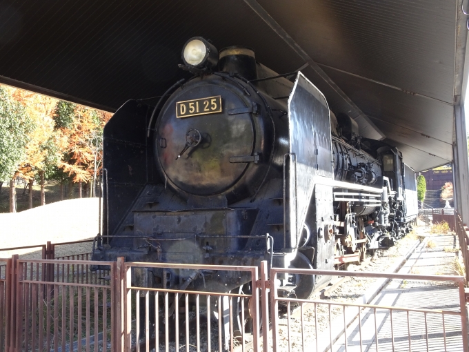 鉄道乗車記録の写真:列車・車両の様子(未乗車)(13)        「お目当てのはじかみ池公園に保存されている、｢D51 25｣号機です。南ウッディタウン駅から徒歩3分のところに有ります。」