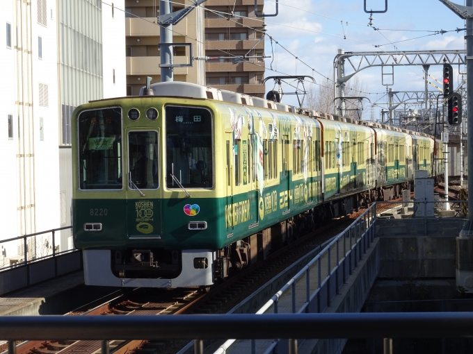 鉄道乗車記録の写真:列車・車両の様子(未乗車)(5)        「甲子園球場100周年記念のラッピング編成の後追いです。阪神タイガース日本一の副標との組み合わせは、初めて撮りました。」