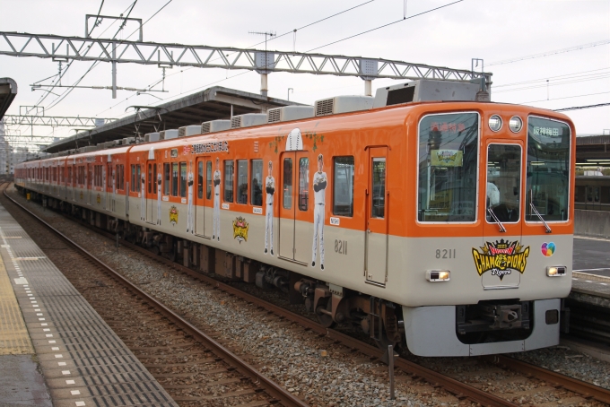 鉄道乗車記録の写真:列車・車両の様子(未乗車)(7)        「｢阪神タイガース日本一記念｣の装飾編成です。」