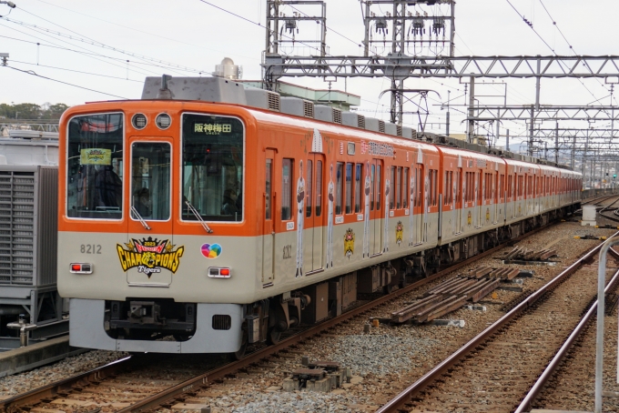 鉄道乗車記録の写真:列車・車両の様子(未乗車)(8)        「｢阪神タイガース日本一記念｣装飾編成の姫路側です。」