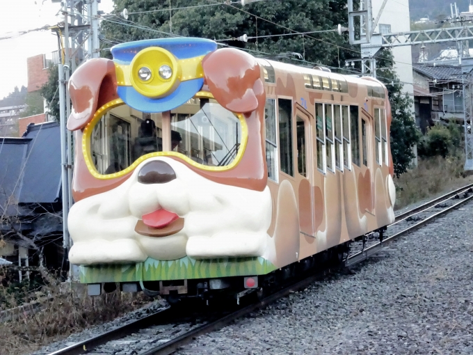 鉄道乗車記録の写真:乗車した列車(外観)(3)        「撮影用デッキから撮った、コ12｢ブル｣です。」