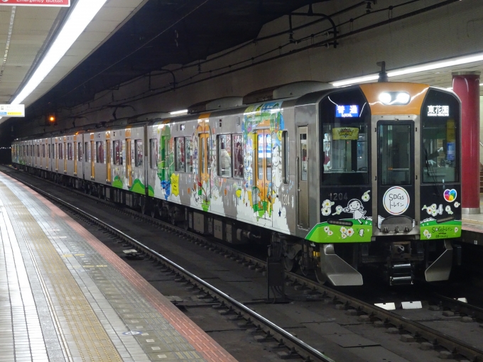 鉄道乗車記録の写真:列車・車両の様子(未乗車)(8)        「阪神電車のSDGsトレインです。」