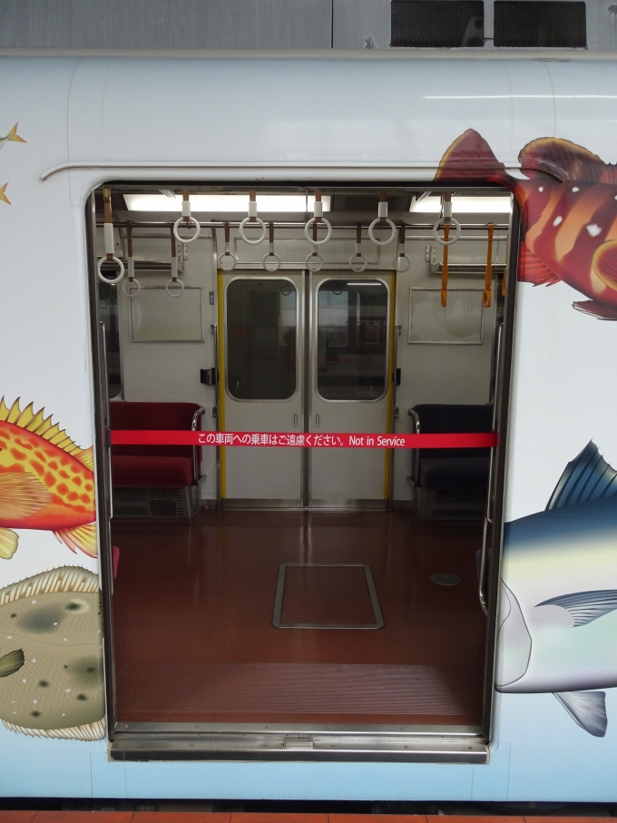 鉄道乗車記録の写真:車内設備、様子(10)        「｢伊勢志摩お魚図鑑｣の片側2箇所のドアには、｢この車両ヘの乗車はご遠慮ください。｣のベルトが付いています。」