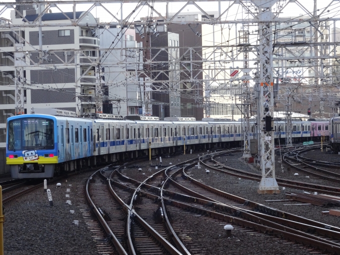 鉄道乗車記録の写真:列車・車両の様子(未乗車)(4)        「難波駅を出発する、｢鉄道むすめ｣ラッピング編成です。」