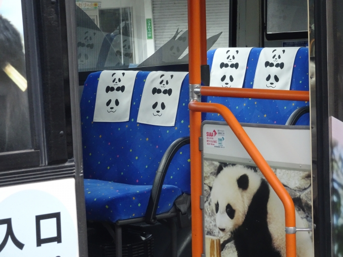 鉄道乗車記録の写真:旅の思い出(22)        「パンダラッピングバスの座席には、親子パンダの座席カバーが掛かっています。」