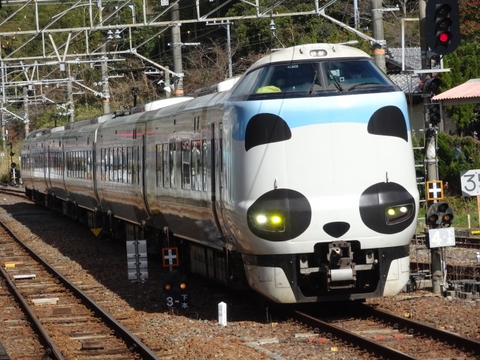 鉄道乗車記録の写真:列車・車両の様子(未乗車)(10)        「もう一本ある｢パンダくろしお｣のHC605編成の｢くろしお｣5号です。」