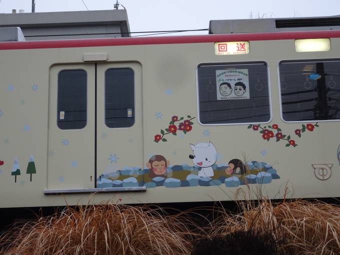 鉄道乗車記録の写真:列車・車両の様子(未乗車)(10)        「5013(冬)其の弐､｢露天風呂｣です。」