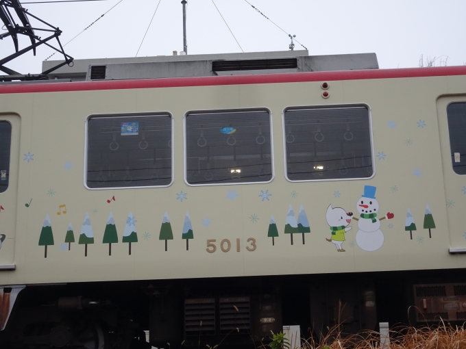 鉄道乗車記録の写真:列車・車両の様子(未乗車)(11)        「5013(冬)其の参、｢冬景色｣です。」