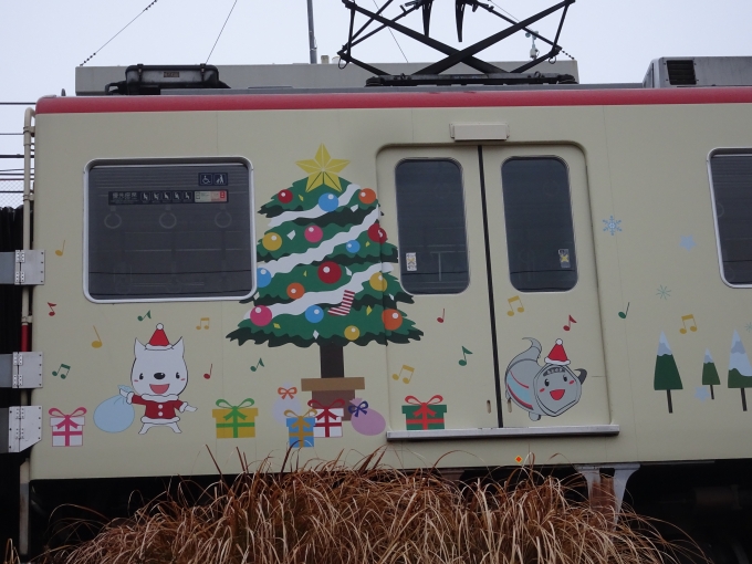 鉄道乗車記録の写真:列車・車両の様子(未乗車)(12)        「5013(冬)其の肆、｢クリスマス｣です。」