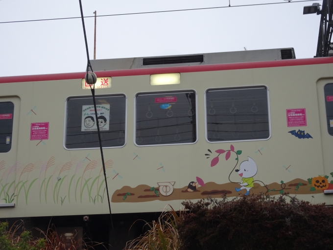 鉄道乗車記録の写真:列車・車両の様子(未乗車)(15)        「5114(秋)其の参、｢いも掘り｣です。」