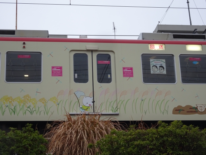鉄道乗車記録の写真:列車・車両の様子(未乗車)(16)        「5114(秋)其の肆、｢ススキと赤トンボ｣です。」