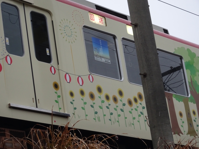 鉄道乗車記録の写真:列車・車両の様子(未乗車)(21)        「5113(夏)其の参、｢ひまわり❷｣です。」