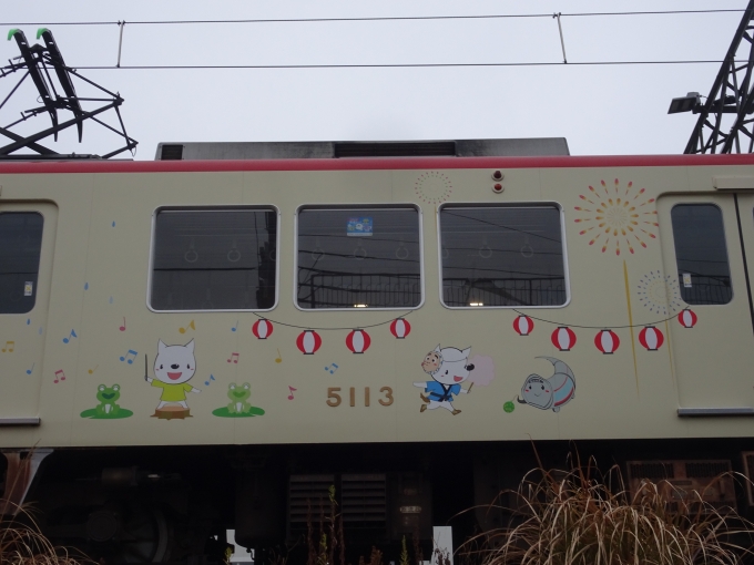 鉄道乗車記録の写真:列車・車両の様子(未乗車)(22)        「5113(夏)其の肆、｢夏祭りと梅雨❶(カエル)｣です。」