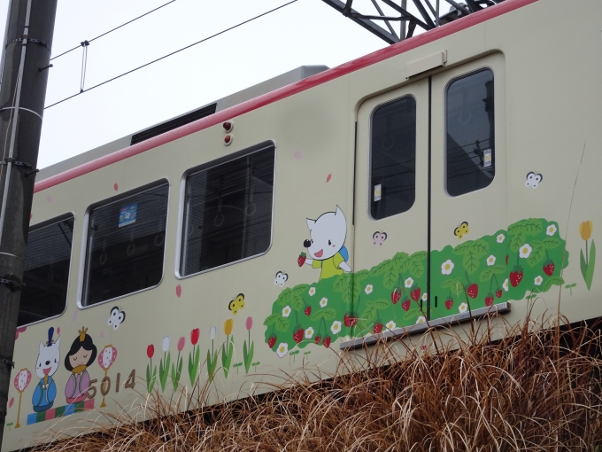 鉄道乗車記録の写真:列車・車両の様子(未乗車)(26)        「5014(春)其の参、｢いちご狩りとひな祭り❶｣です。」