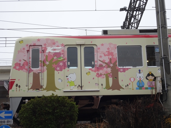 鉄道乗車記録の写真:列車・車両の様子(未乗車)(27)        「5014(春)其の肆、｢さくらとひな祭り❷｣です。尚、反対側はキャラクターなどの位置と向きが逆になるだけでデザインは同じです。」