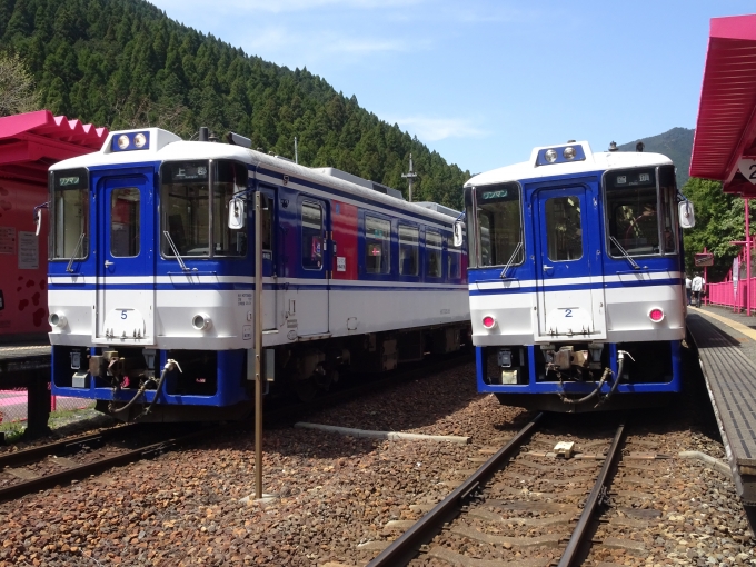 鉄道乗車記録の写真:乗車した列車(外観)(22)        「恋山形駅で15分停車をする列車の並びです。これから智頭駅に向かいます。」