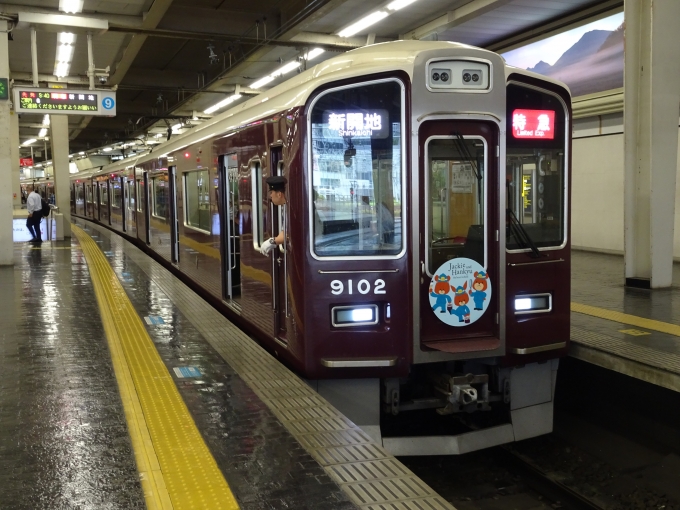 鉄道乗車記録の写真:列車・車両の様子(未乗車)(2)        「神戸線の｢くまのがっこう｣編成です。」