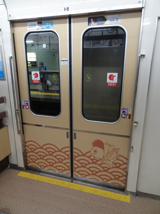 鉄道乗車記録の写真:車内設備、様子(1)        「66系更新車のドアです。」