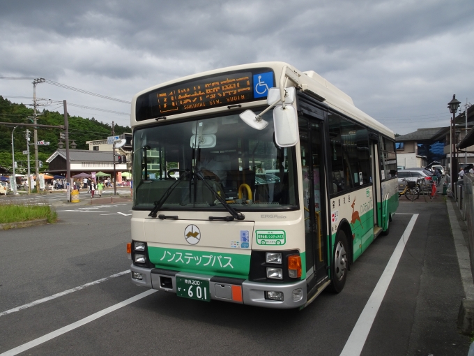 鉄道乗車記録の写真:旅の思い出(5)        「このバスに乗って、桜井駅南口に向かいます。」