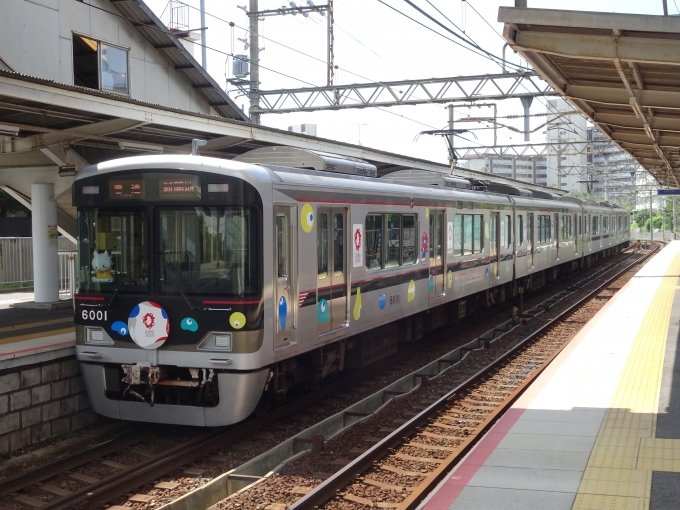 鉄道乗車記録の写真:列車・車両の様子(未乗車)(2)        「早速お目当ての｢大阪・関西万博｣の装飾編成が来ました。」