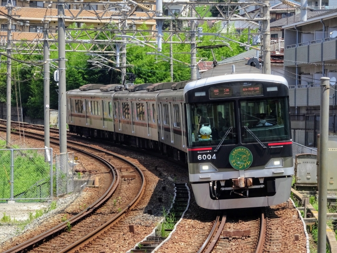 鉄道乗車記録の写真:列車・車両の様子(未乗車)(3)        「｢大阪・関西万博｣装飾編成の次に来た、｢ミュージアム トレイン｣です。」