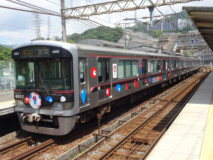 鉄道乗車記録の写真:列車・車両の様子(未乗車)(4)        「先の｢大阪・関西万博｣装飾編成が戻って来ました。」