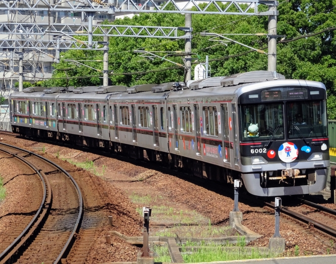 鉄道乗車記録の写真:列車・車両の様子(未乗車)(2)        「三田本町で撮った、｢大阪・関西万博｣装飾編成です。」