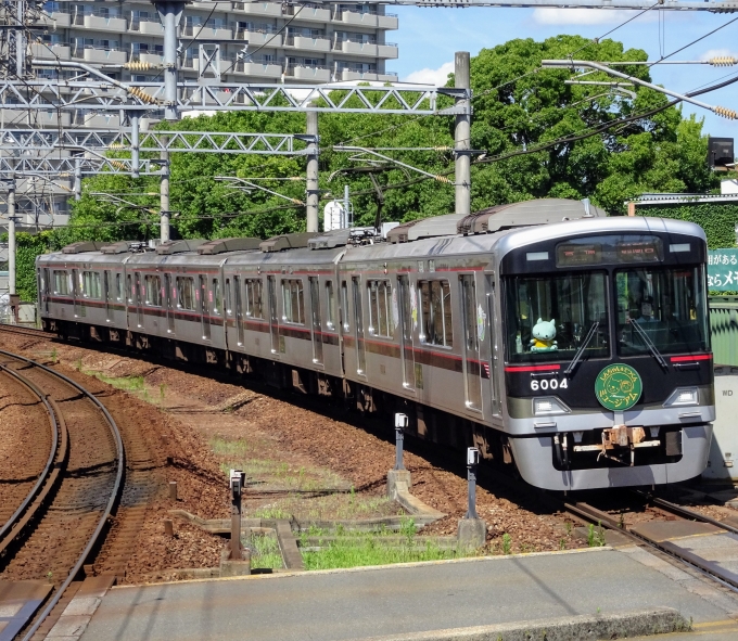 鉄道乗車記録の写真:列車・車両の様子(未乗車)(3)        「同じく三田本町で撮った、｢ミュージアムトレイン｣です。」