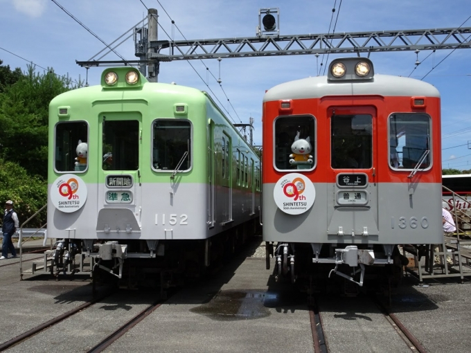 鉄道乗車記録の写真:列車・車両の様子(未乗車)(1)        「神戸電鉄の復刻塗装電車の並び」