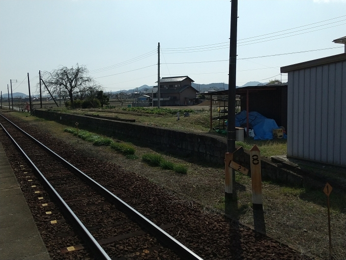 鉄道乗車記録の写真:駅舎・駅施設、様子(9)        「ここにも交換設備があったのでしょうか？ホームが残っています。」