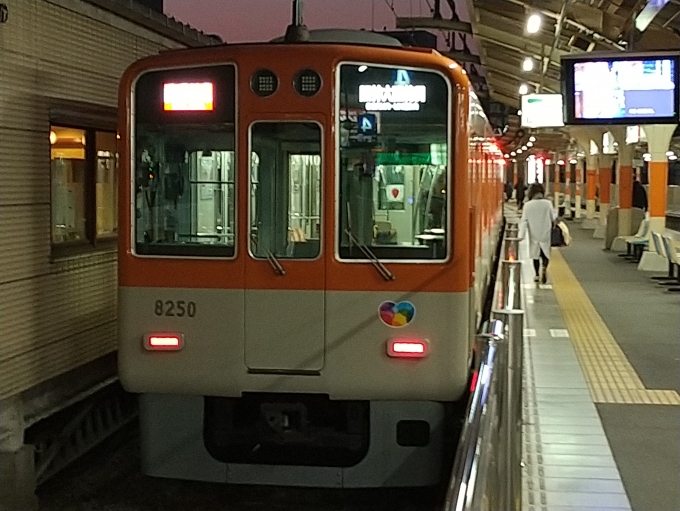 鉄道乗車記録の写真:乗車した列車(外観)(2)        「阪神車の直通特急です。」