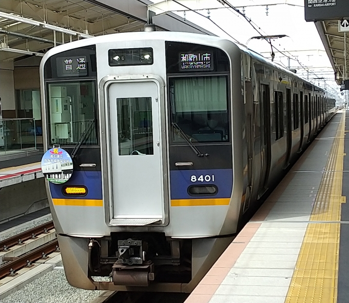 鉄道乗車記録の写真:列車・車両の様子(未乗車)(1)        「空港急行の後に到着した和歌山市行き普通です。」