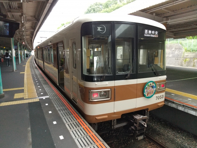 鉄道乗車記録の写真:列車・車両の様子(未乗車)(1)        「元北神急行電鉄7000系です。」
