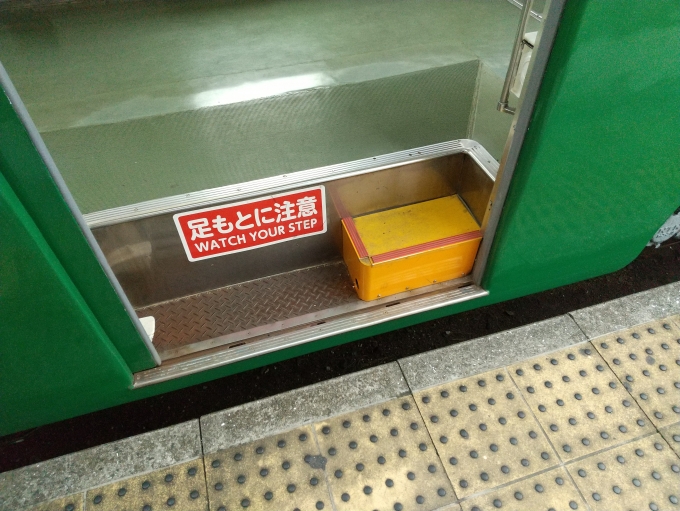 鉄道乗車記録の写真:車内設備、様子(2)        「右の黄色い箱が補助ステップです。」