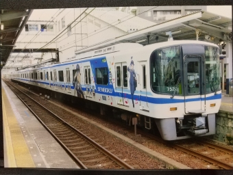 難波駅から堺東駅の乗車記録(乗りつぶし)写真