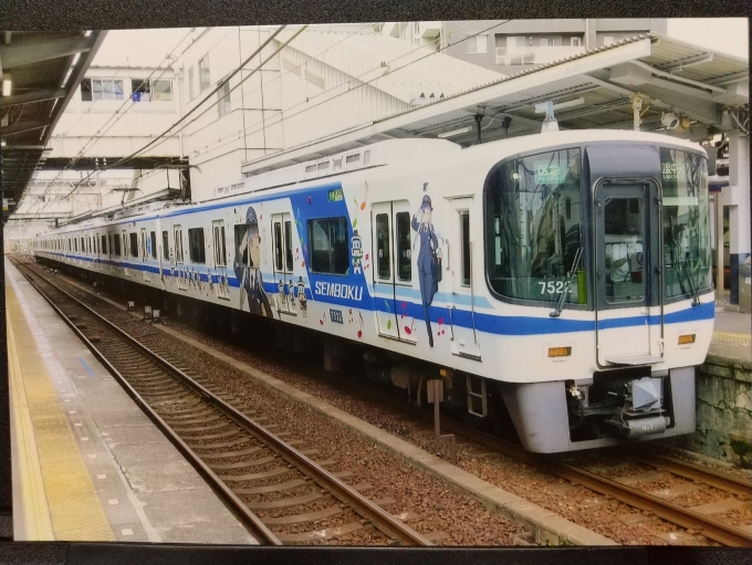 鉄道乗車記録の写真:列車・車両の様子(未乗車)(1)        「泉北高速鉄道7020系の鉄道むすめラッピング編成です。」