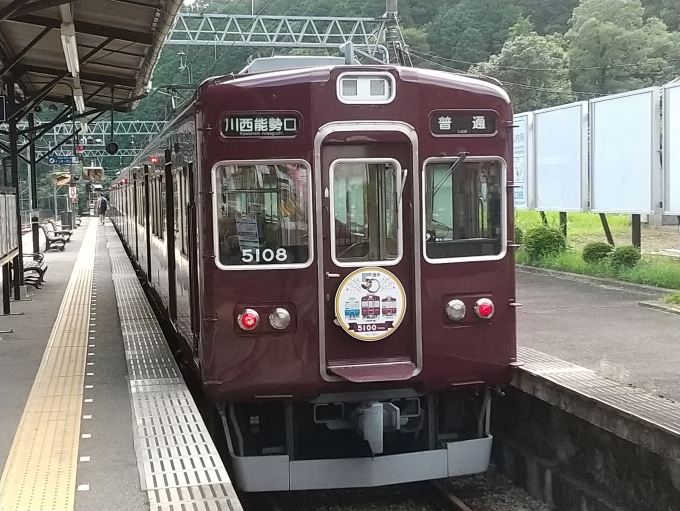 鉄道乗車記録の写真:列車・車両の様子(未乗車)(1)          「能勢電鉄の5100系にも50周年のヘッドマークが付きました。」