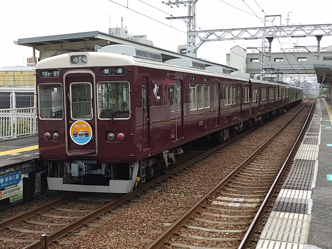 鉄道乗車記録の写真:乗車した列車(外観)(6)        「宝塚側からの編成写真です。」