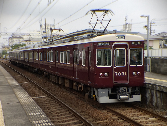 鉄道乗車記録の写真:列車・車両の様子(未乗車)(2)        「7031Fの石橋阪大前側からの編成写真です。」