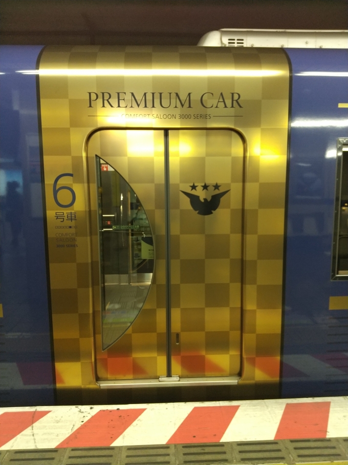 鉄道乗車記録の写真:列車・車両の様子(未乗車)(2)        「2代目3000系のプレミアムカーの扉です。プレミアムカーと言うだけあって扉周りが豪華に見えます。(両開き扉です)」