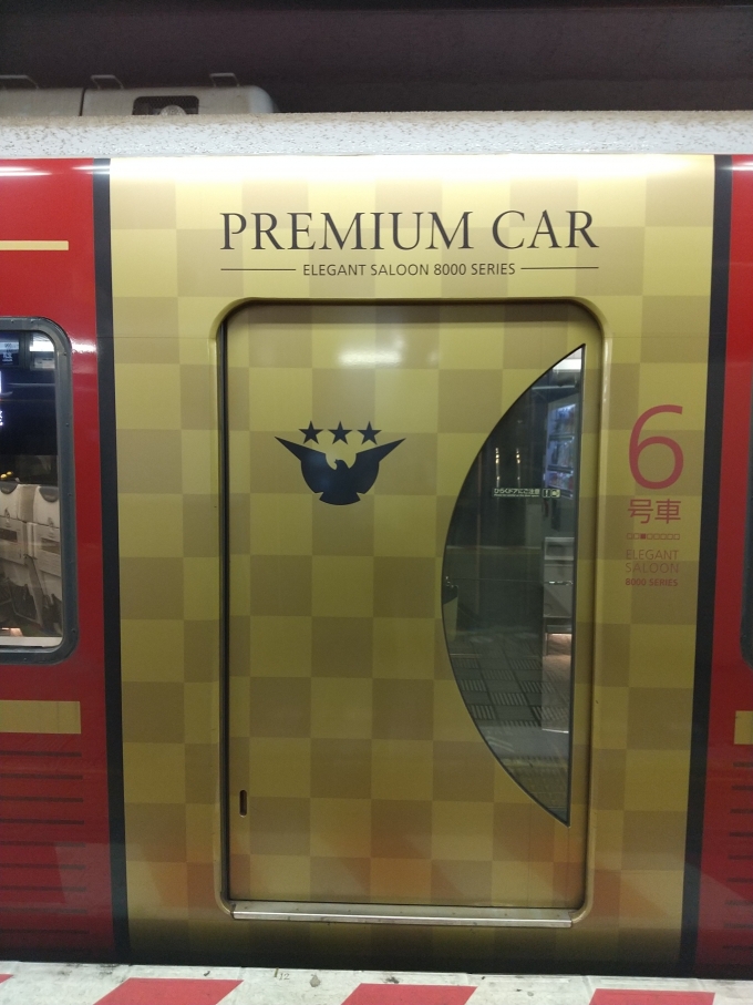 鉄道乗車記録の写真:列車・車両の様子(未乗車)(6)        「8000系プレミアムカーの扉です。扉周りの金色が豪華に見えます。(こちらは片開き)」