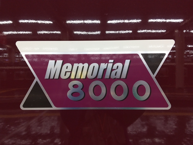 鉄道乗車記録の写真(2)        「Memorial8000の扉横ステッカーです。」