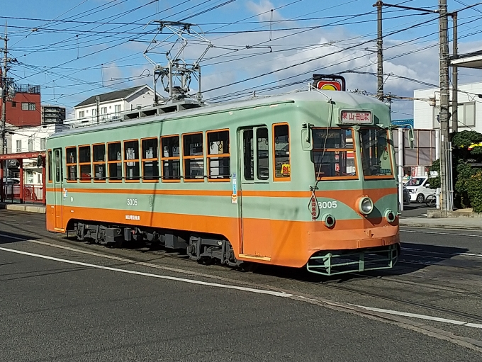 鉄道乗車記録の写真:列車・車両の様子(未乗車)(4)        「本日の主役登場です！これを撮りたいが為に岡山に来たようなものです。」