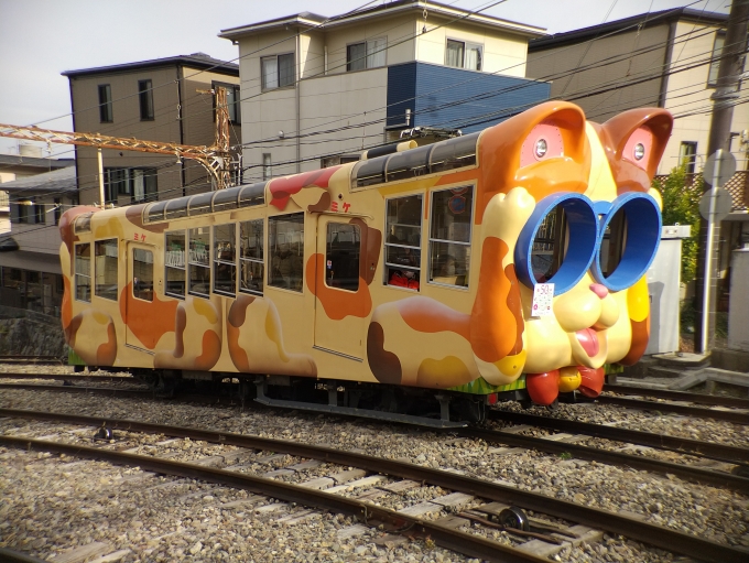 鉄道乗車記録の写真:列車・車両の様子(未乗車)(8)        「宝山寺ケーブルのミケです。」