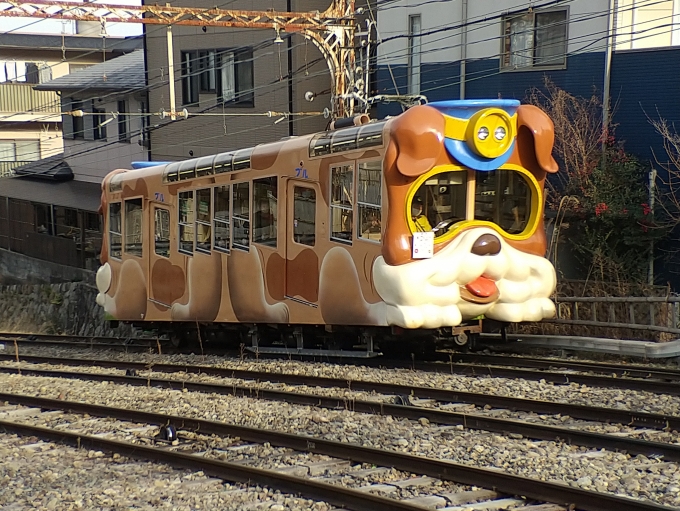 鉄道乗車記録の写真:列車・車両の様子(未乗車)(9)        「宝山寺ケーブルのブルです。」