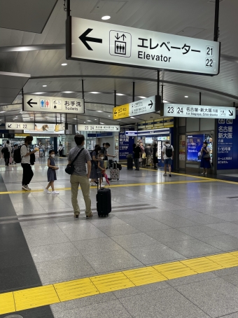 品川駅から静岡駅の乗車記録(乗りつぶし)写真