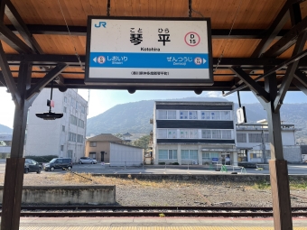 琴平駅から丸亀駅の乗車記録(乗りつぶし)写真